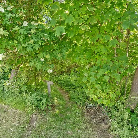 Dvonta - 170m From The Sea By Interhome בית נופש *